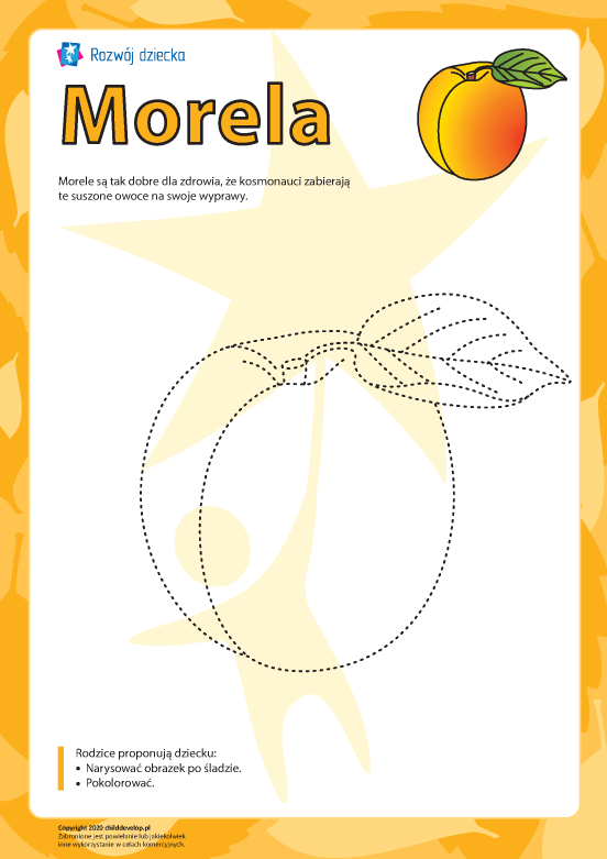 Kolorowanka „Morela” Kolorowanka „Morela”