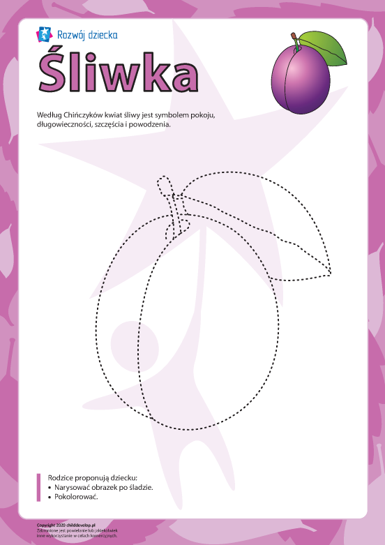 Kolorowanka „Śliwka” Kolorowanka „Śliwka”