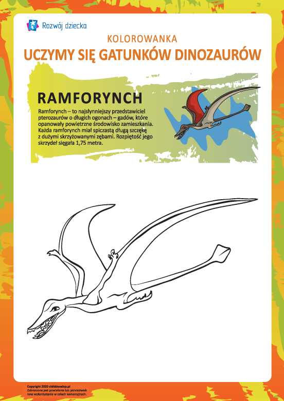 Kolorowanka dinozaury: ramforynch Kolorowanka dinozaury: ramforynch