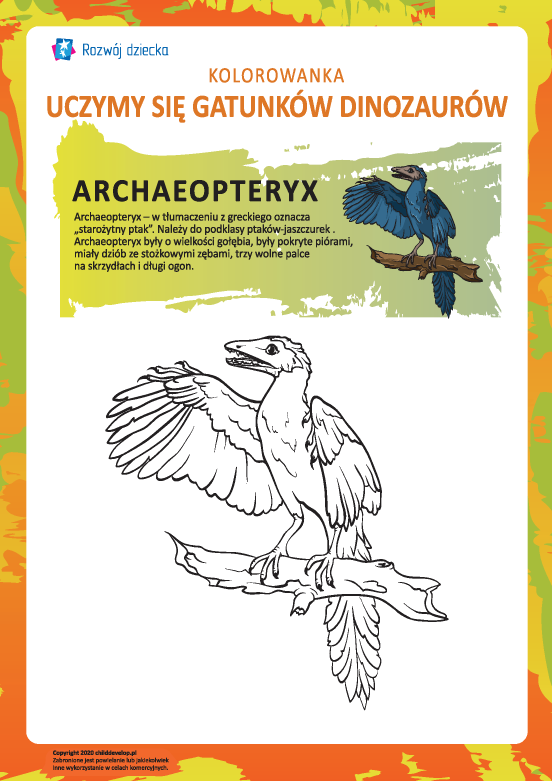Kolorowanka dinozaury: archaeopteryx Kolorowanka dinozaury: archaeopteryx