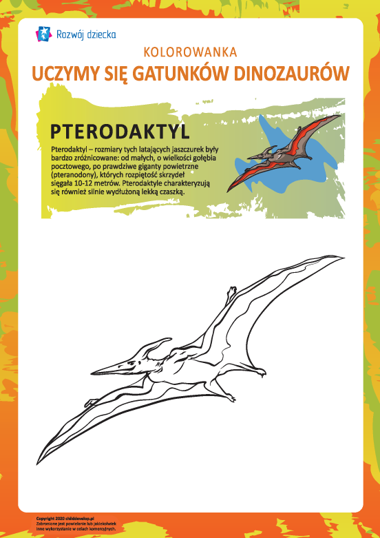 Kolorowanka dinozaury: pterodaktyl Kolorowanka dinozaury: pterodaktyl