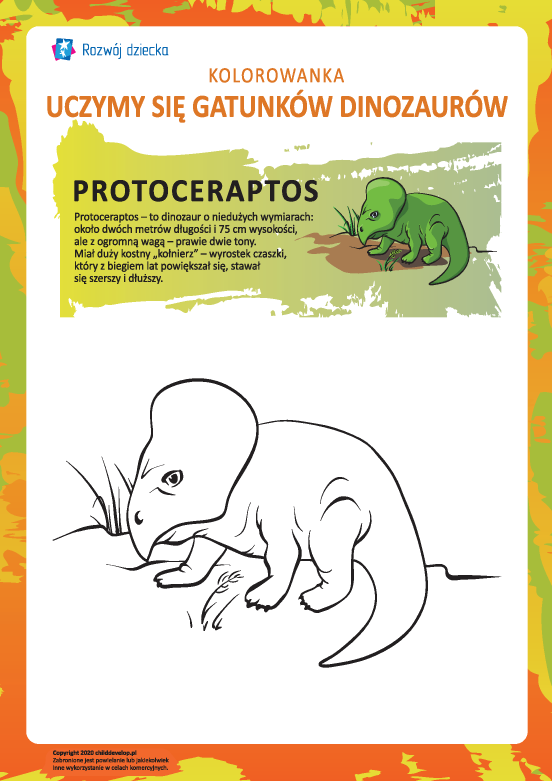 Kolorowanka dinozaury: protoceratops Kolorowanka dinozaury: protoceratops