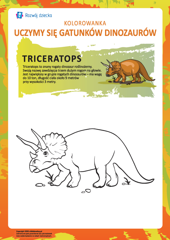 Kolorowanka dinozaury: triceratops Kolorowanka dinozaury: triceratops