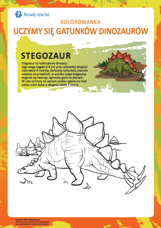 Kolorowanka dinozaury: stegozaur Kolorowanka dinozaury: stegozaur