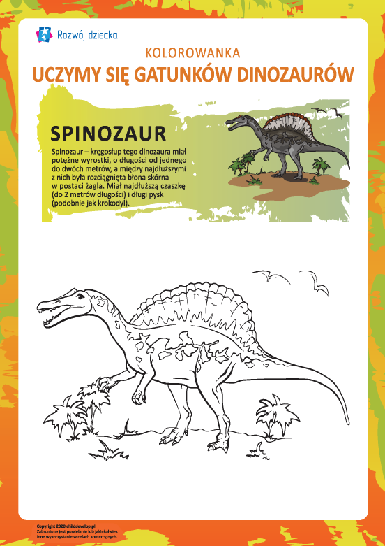 Kolorowanka dinozaury: spinozaur Kolorowanka dinozaury: spinozaur
