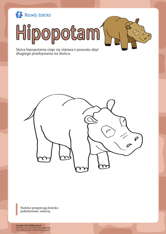 Kolorowanka „Hipopotam” Kolorowanka „Hipopotam”