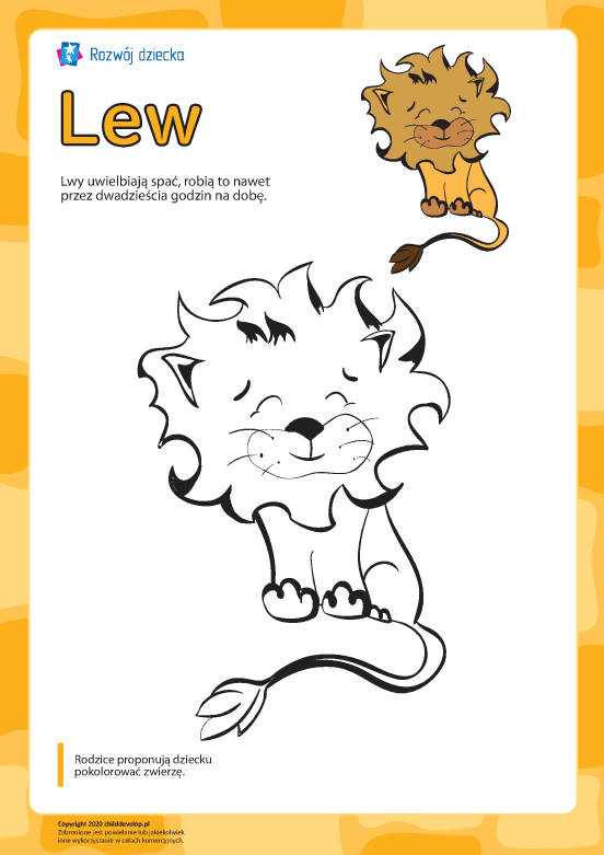 Kolorowanka „Lew” Kolorowanka „Lew”
