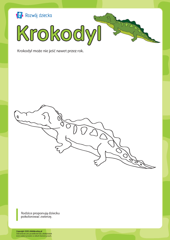 Kolorowanka „Krokodyl” Kolorowanka „Krokodyl”
