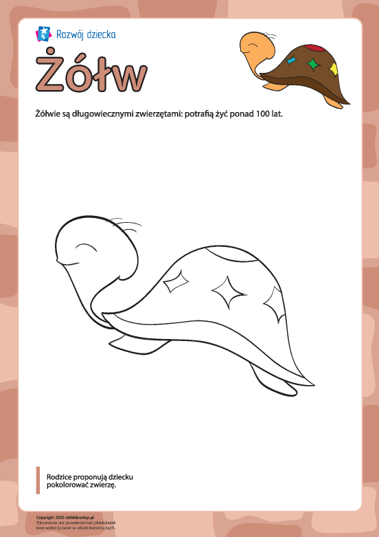 Kolorowanka „Żółw” Kolorowanka „Żółw”