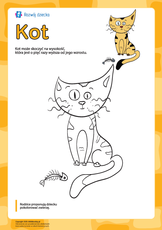 Kolorowanka „Kot” Kolorowanka „Kot”