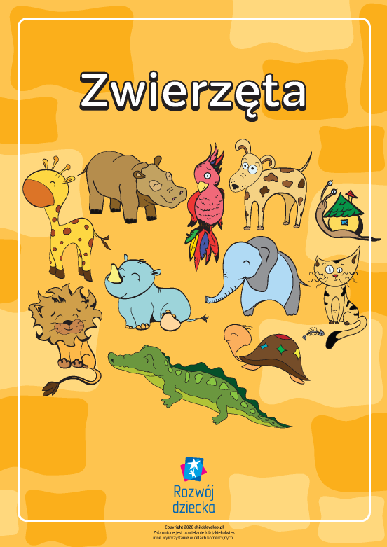 Kolorowanka „Zwierzęta” Kolorowanka „Zwierzęta”