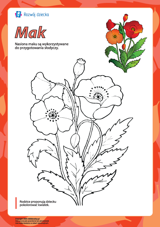 Kolorowanka „Mak” Kolorowanka „Mak”