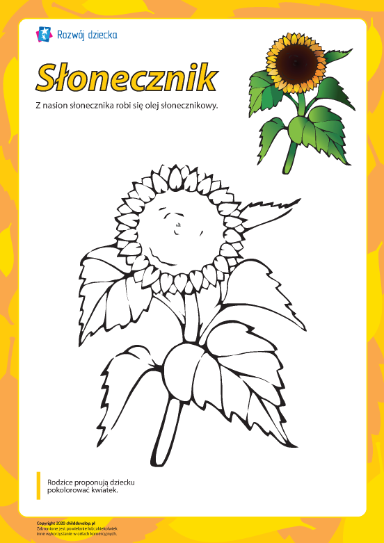 Kolorowanka „Słonecznik” Kolorowanka „Słonecznik”