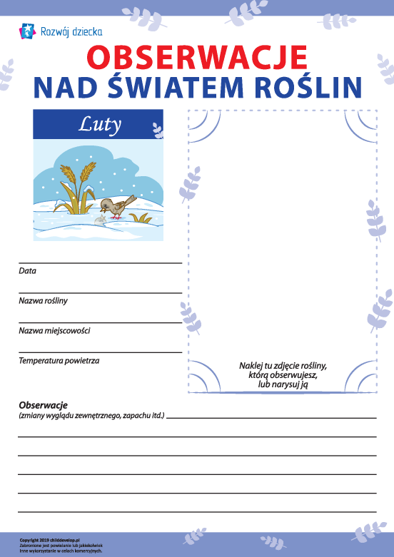 Оbserwację nad światem roślin w lutym Оbserwację nad światem roślin w lutym
