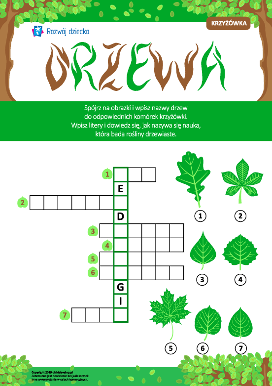 Krzyżówka w obrazkach „Drzewa” Krzyżówka w obrazkach „Drzewa”