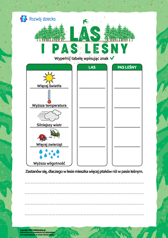 Las i pas leśny Las i pas leśny