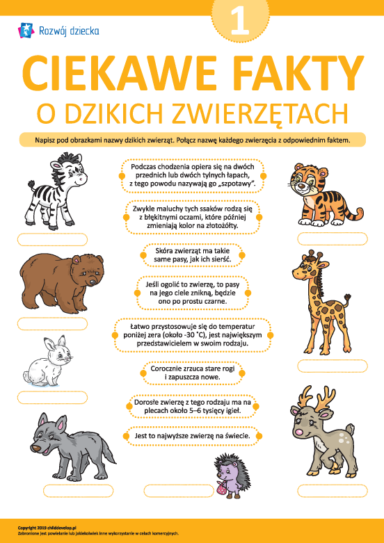 Dowiadujemy się ciekawych faktów o dzikich ssakach Dowiadujemy się ciekawych faktów o dzikich ssakach