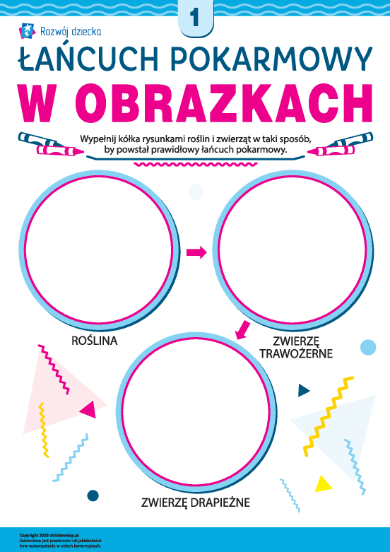 Układam łańcuch pokarmowy nr 1 Układam łańcuch pokarmowy nr 1