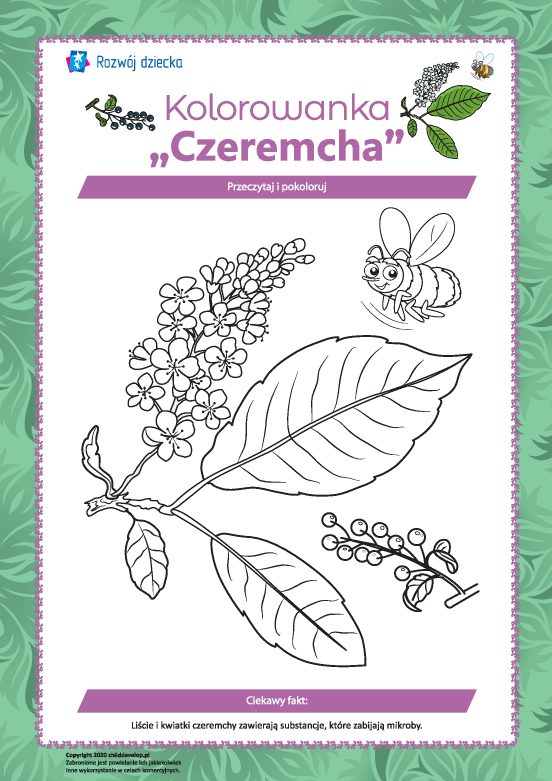 Kolorowanka „Czeremcha” Kolorowanka „Czeremcha”