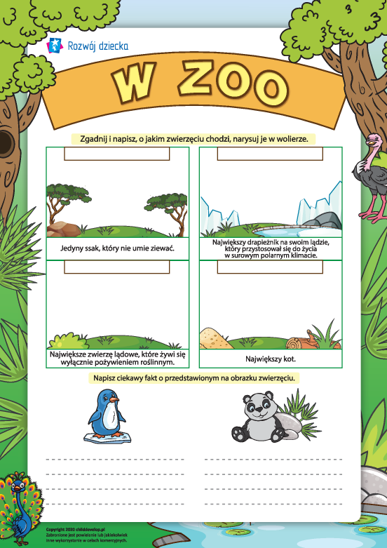 W zoo: poznajemy świat zwierząt W zoo: poznajemy świat zwierząt