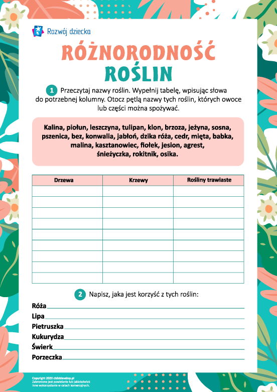 Różnorodność roślin Różnorodność roślin