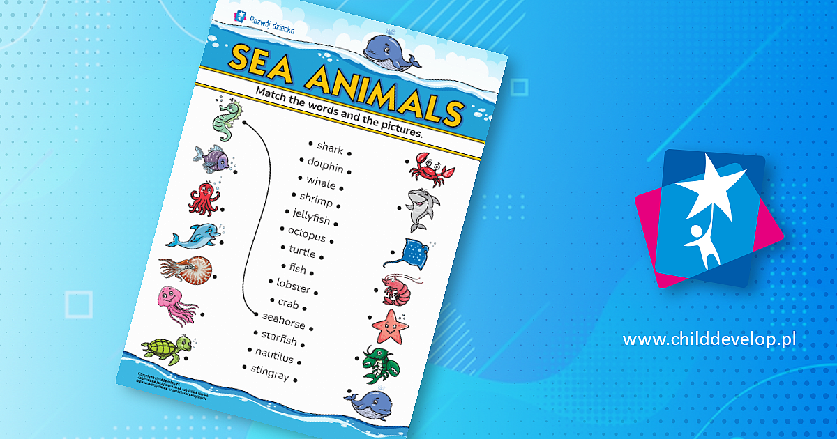 Sea animals (zwierzęta morskie): poznaj nazwy zwierząt morskich w