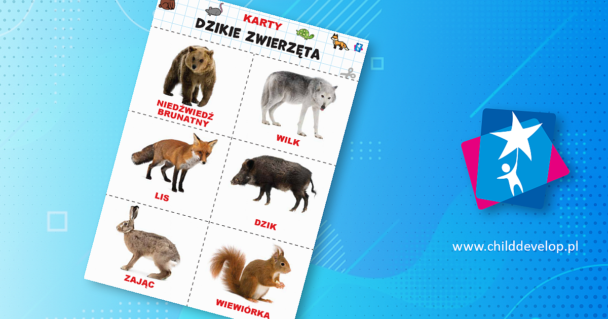 Dzikie zwierzęta: ssaki, gady, płazy – karty Domana – do druku karty