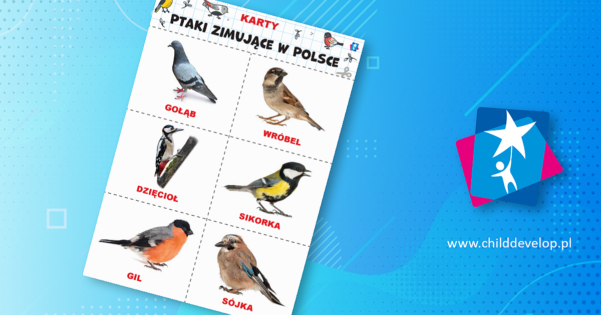 Ptaki zimujące w Polsce – karty Domana – do druku karty pracy Ptaki dla