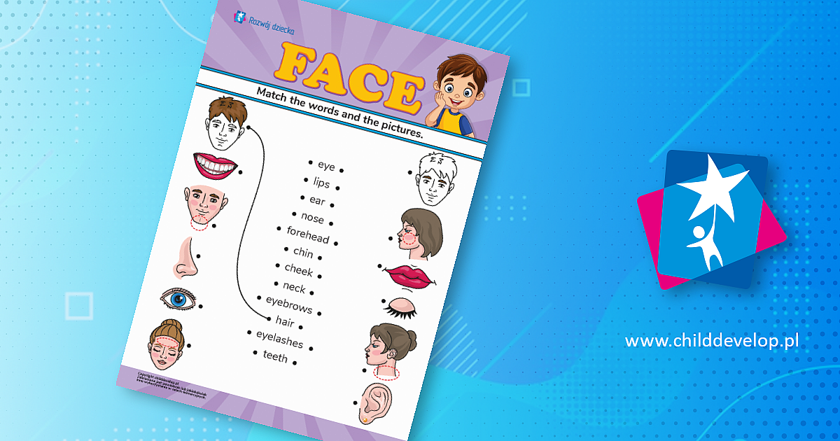 Face (Twarz): poznajemy nazwy części twarzy w języku angielskim – do