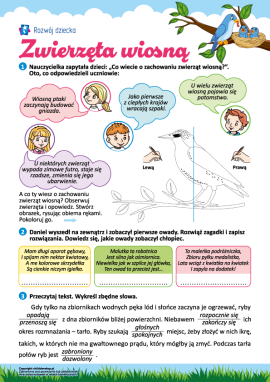 Obserwujemy zachowanie zwierząt wiosną