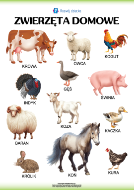 Zwierzęta domowe: 
