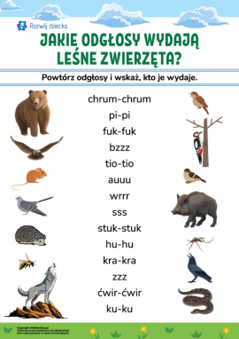 Kogo słychać w lesie? Odgłosy zwierząt, wyrazy dźwiękonaśladowcze
