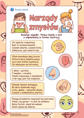 Zagadki o narządach zmysłów