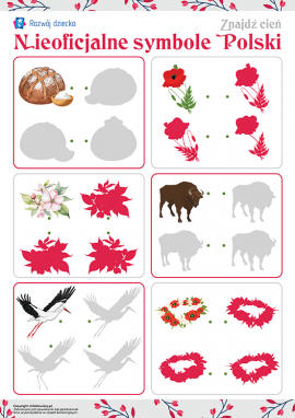 Znajdź cień: obchodzimy Narodowe Święto Niepodległości