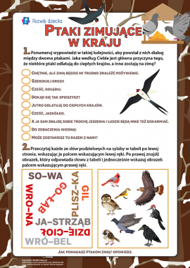 Ptaki osiadłe: rozwijamy współpracę między półkulami