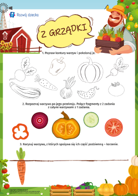 Z grządki: świat roślin