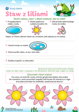 Staw z liliami: eksperymentujemy