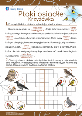 Rozwiązujemy krzyżówkę o ptakach osiadłych