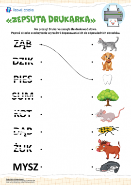 „Zepsuta drukarka”: doskonalenie umiejętności czytania, rozpoznawanie graficznego obrazu liter
