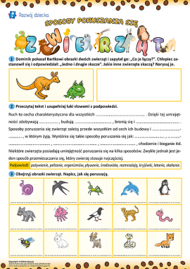 Jak poruszają się zwierzęta?