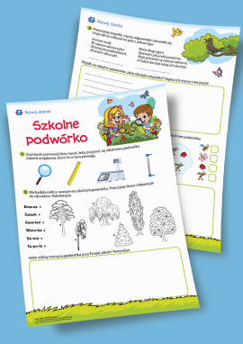 Obserwujemy szkolne podwórko