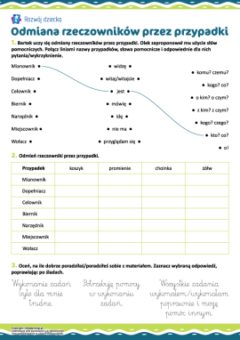 Odmiana rzeczowników przez przypadki