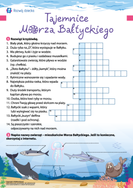 Tajemnice Morza Bałtyckiego: rozwiązujemy krzyżówkę
