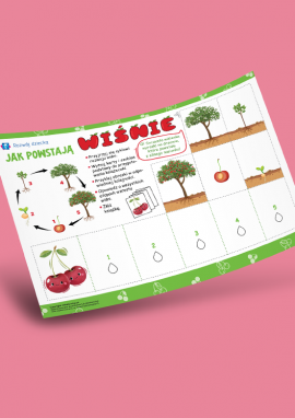 Cykl życia wiśni: tworzymy składaną książeczkę