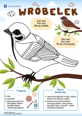 Wróbel: praca plastyczna z użyciem kaszy i ryżu