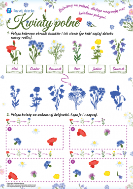 Poznajemy kwiaty polne