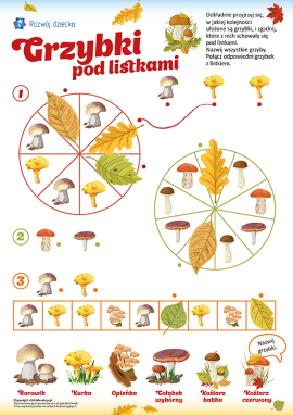Grzybowe sekwencje: wizualno-rytmiczne wzory dla dzieci od 4 roku życia