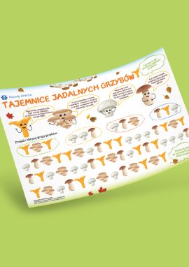 Jadalne grzyby: gra na rozwijanie uwagi