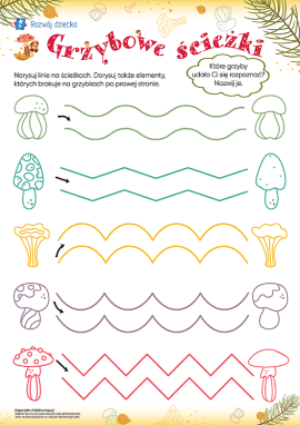 Ścieżki grzybowe: zadanie grafomotoryczne i dorysowywanie