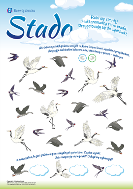 Policz ptaki wędrowne: liczenie w zakresie do 10